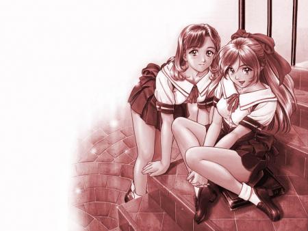 ELLES SONT MAGNIFIQUES